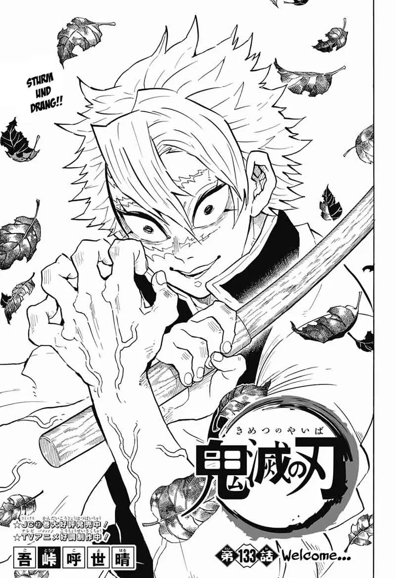 Chapter 133