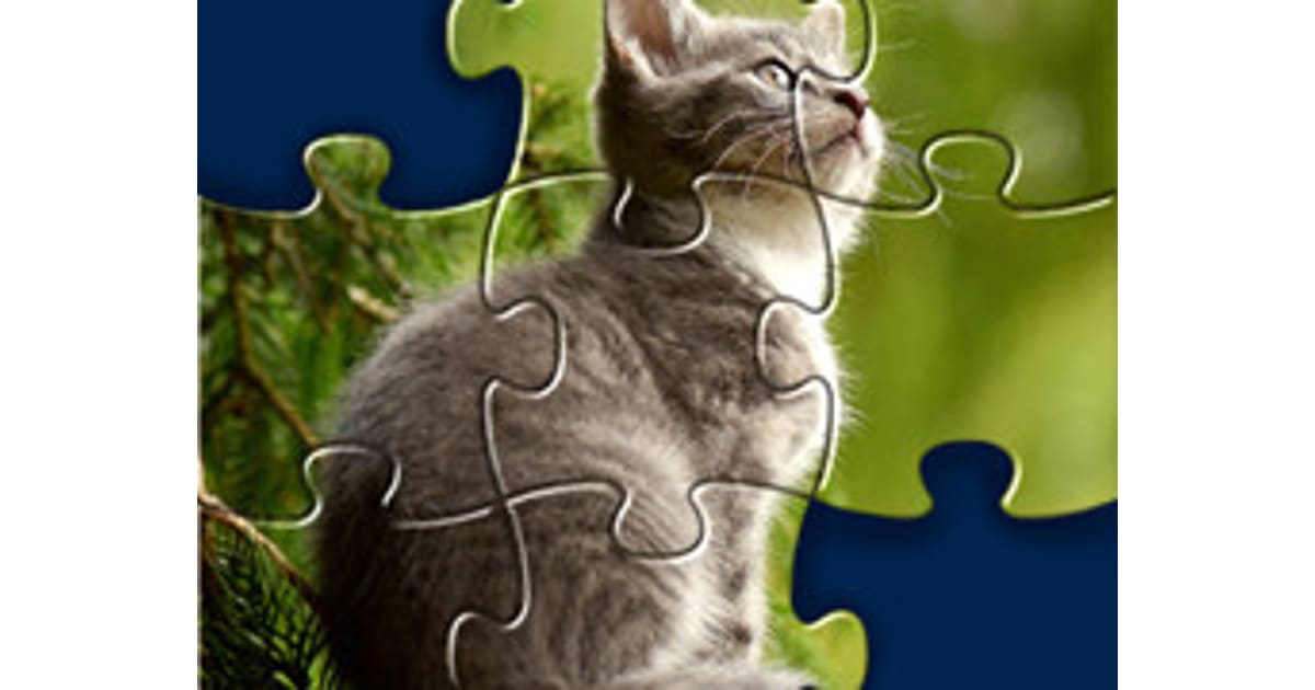 Animal Shape Puzzle