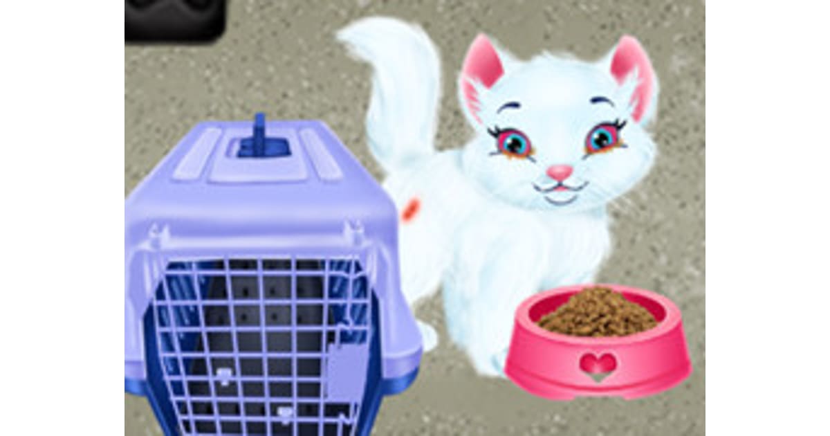 Baby Taylor Pet Care