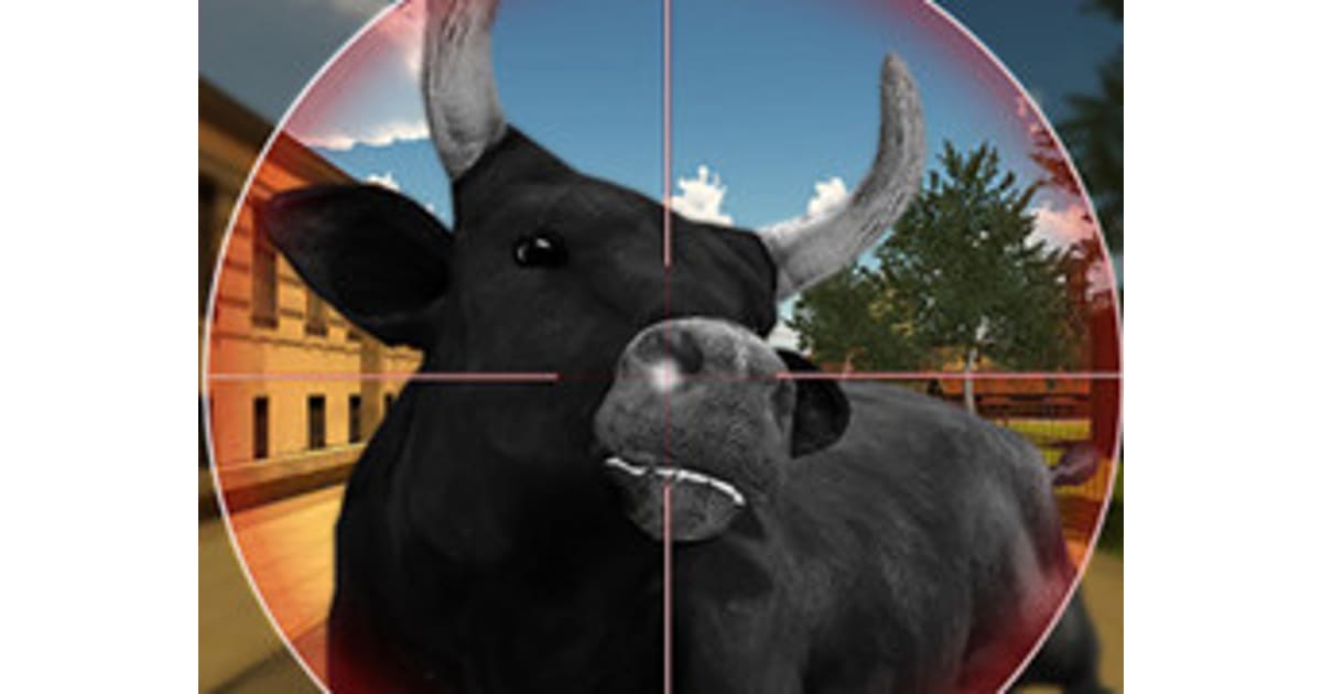 Bull Shooting