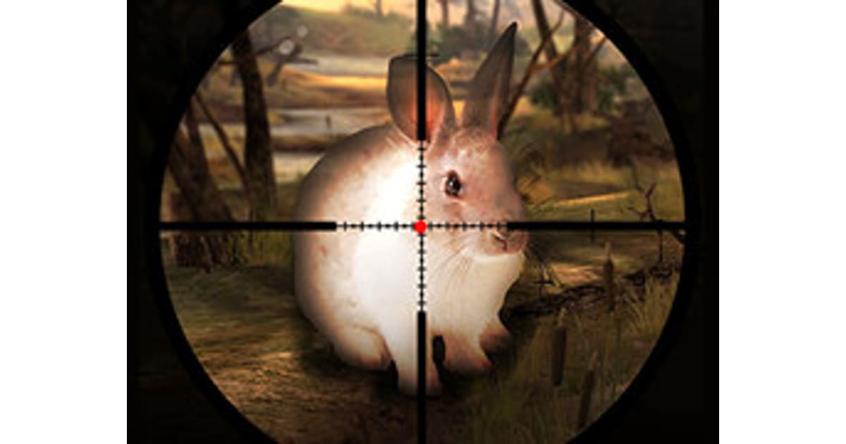 Classical Rabbit Hunting