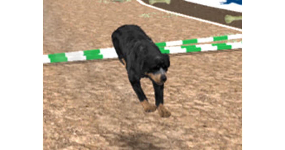 Dog Racing Simulator 3D