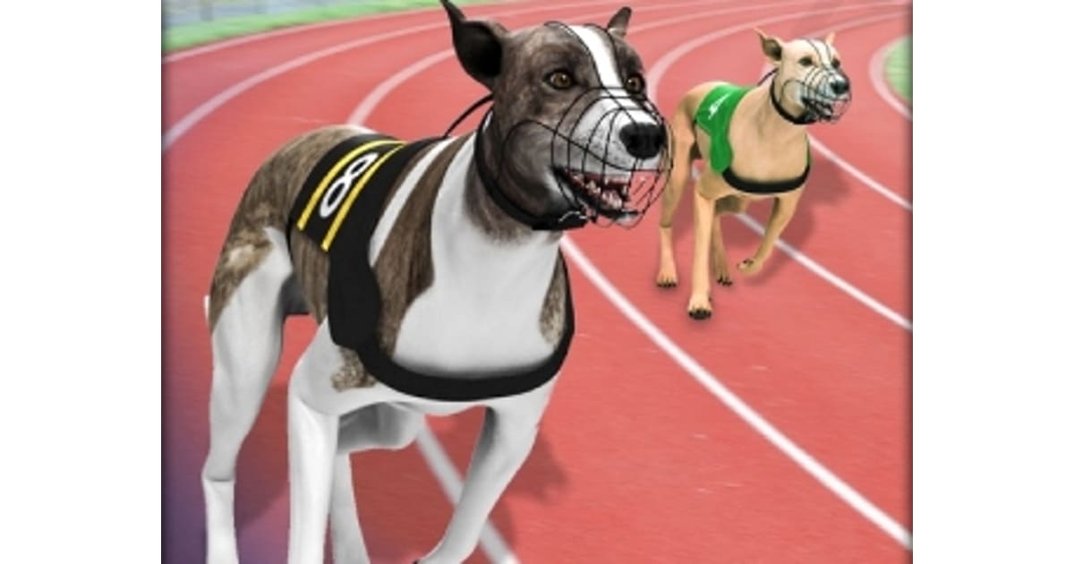 Greyhound Racing