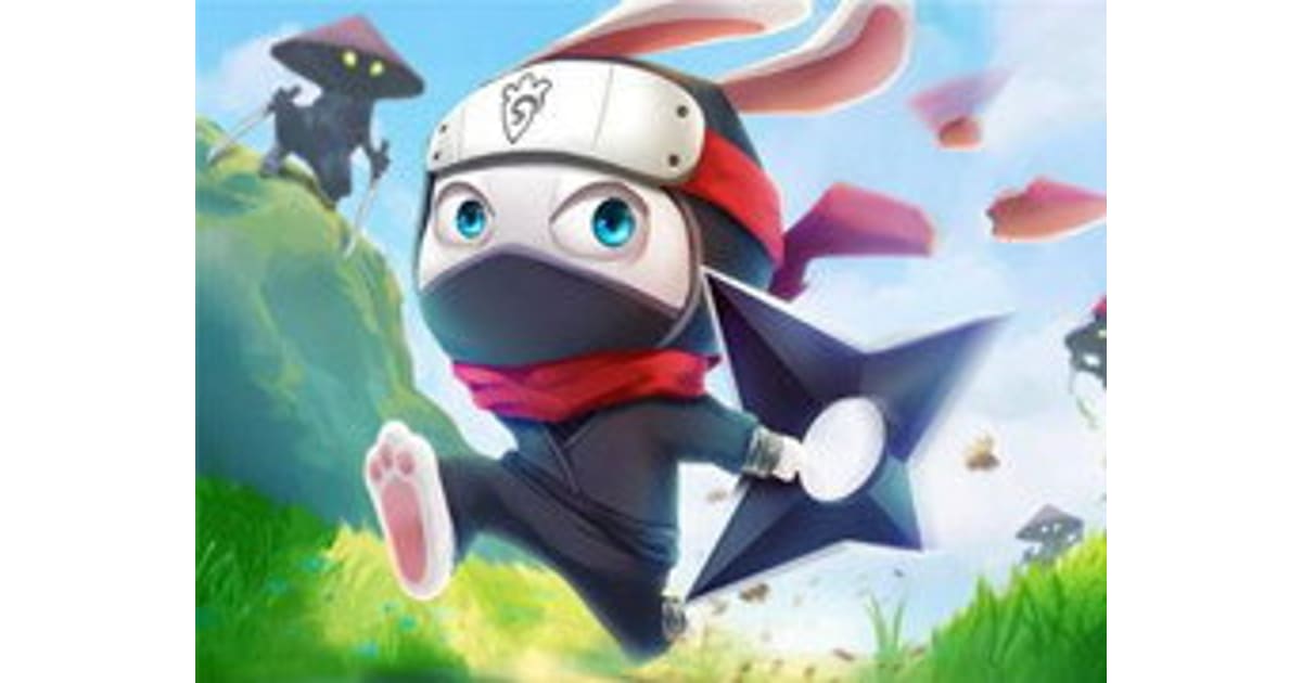 Ninja Rabbit