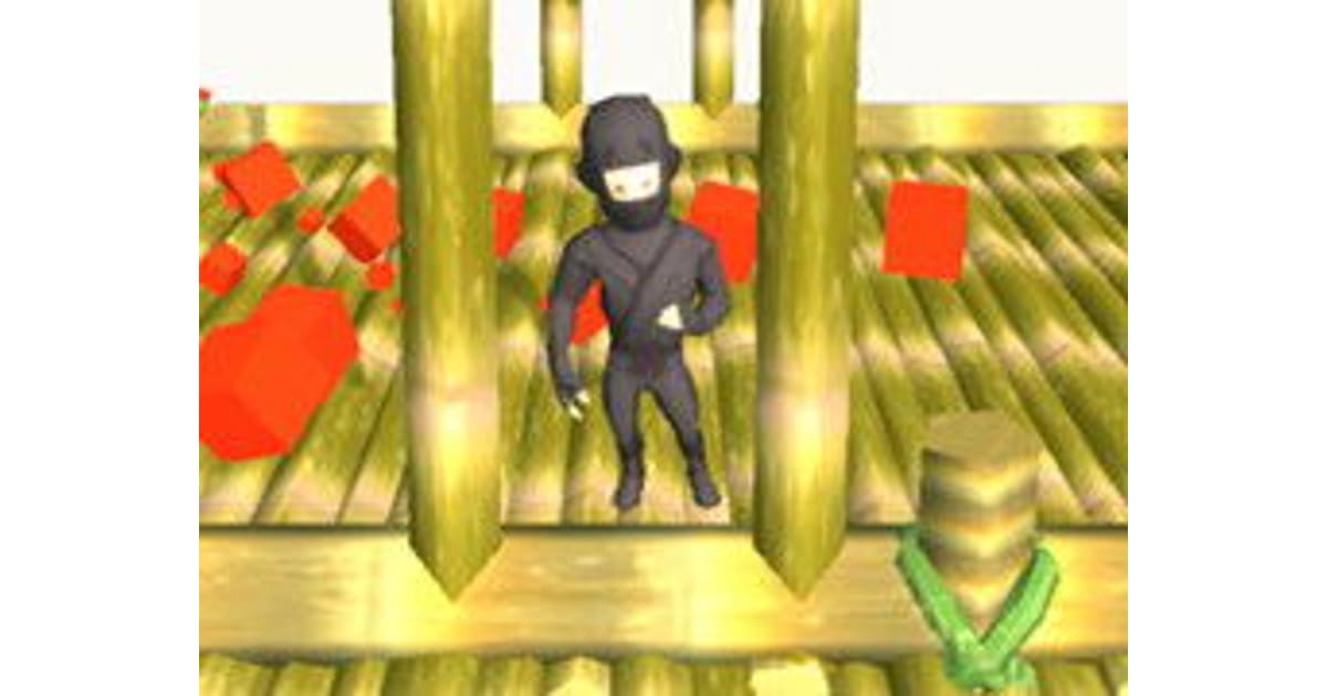 Ninja Runs 3D