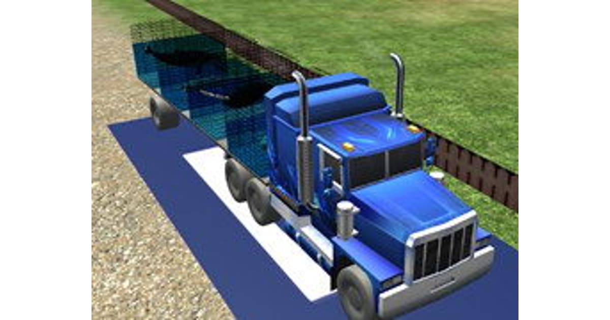 Sea Animal Transport