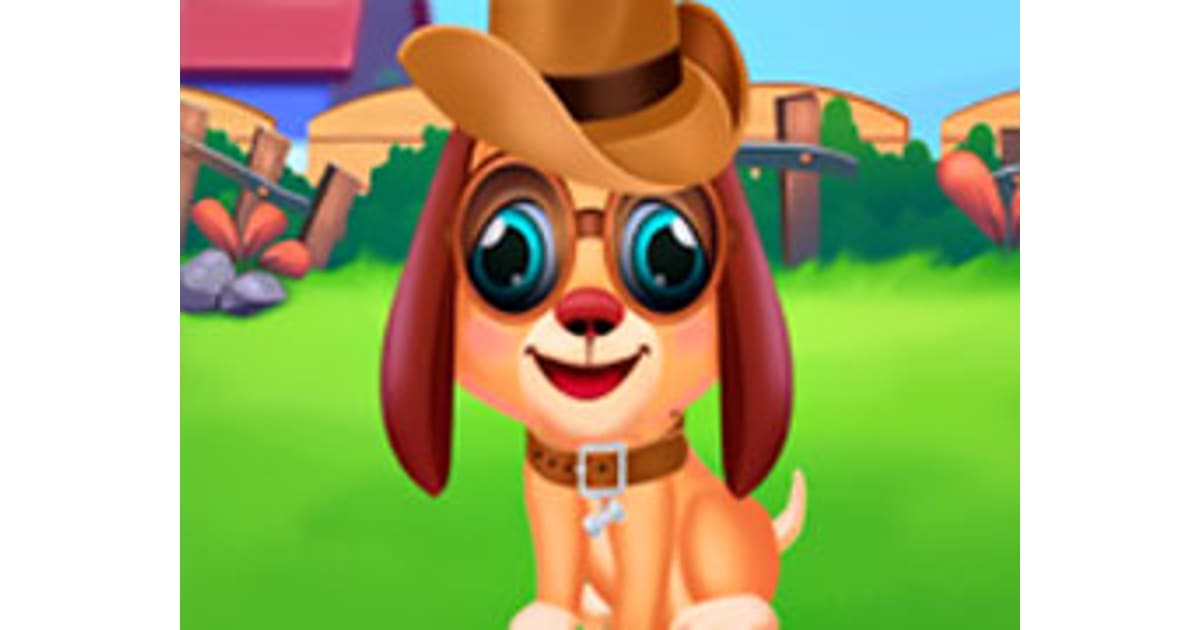 Stray Puppy Pet Care